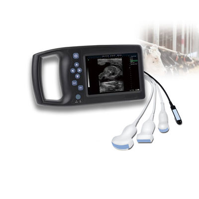 Qualität Veterinary Ultrasound Probe Medical Equipment Good Support Veterinary Ultrasound Scanner Laptop Ultrasound Sonoscape Livestock Price usine